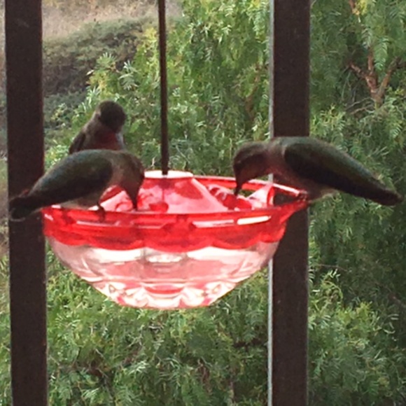 Meet your Posher, H - Picture 13 of 16